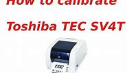 Toshiba SV4T - calibration media