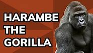 Meme History: The story of Harambe the Gorilla, 2016's most important meme