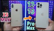 Turn your iPhone XS MAX easily into iPhone 12/13 Pro Max!!! | [EASY DIY] $5 ONLY! (LEGIT!)
