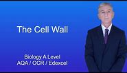 A Level Biology Revision "The Cell Wall"