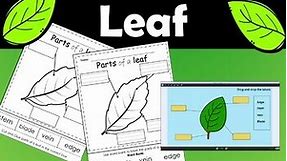 Parts of a Leaf | Leaf Labeling {leaf, fall, spring, earth day}