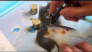Harder & Steenbeck Airbrush: Eagle Stencil Step by Step