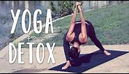 Detox Yoga | 20 Minute Yoga Flow for Detox and Digestion