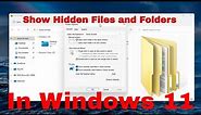 How to Find Hidden Files on Windows 11 [Tutorial]
