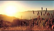 Good Morning - Beautiful Background Music For Videos (Royalty Free Music) - by AShamaluevMusic