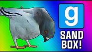 Gmod: Bird Simulator! (Garry's Mod Sandbox Funny Moments)