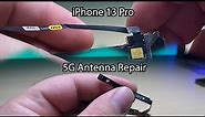 iPhone 13 Pro 5G Antenna Flex Replacement: Step-by-Step Guide