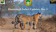 Bhoorsingh Safari Update - Day 3