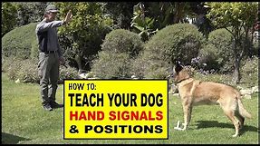 How to Teach Hand Signals and Positions to Your Dog - Dog Training Video