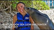 Blue Lagoon Sea Lion Encounter & Beach Day | Shore Excursion | NCL