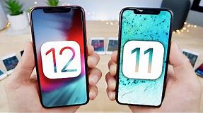 iOS 12 is FAST! iOS 12 Speed Test on ALL iPhones