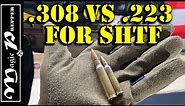 Why 308 Is BETTER Than 223 | What Caliber For SHTF