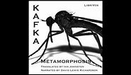 The Metamorphosis by Franz Kafka (Free Audio Book in English Language)