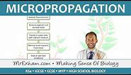 Cloning Plants - Micropropagation (tissue culture) - GCSE Biology (9-1)