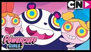 Party Panda! | The Powerpuff Girls | Cartoon Network
