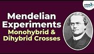 Genetics - Mendelian Experiments - Monohybrid and Dihybrid Crosses - Lesson 3 | Don't Memorise