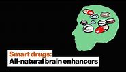 Smart drugs: All-natural brain enhancers made by mother nature | Dave Asprey | Big Think