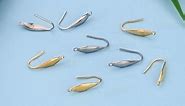 316 Stainless Steel Earrings Hooks