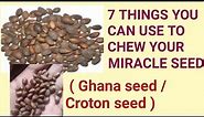 How to Chew your Miracle Seed (Croton seed ) || 7 Things you can use to chew your Miracle seed