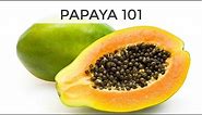 Papaya 101 | Everything You Need To Know