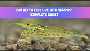 Can Betta Fish Live With Shrimp - Complete Guide (Cherry, Amano, Ghost Shrimp)