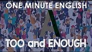 How to Use TOO and ENOUGH: English Grammar Lesson (too, enough, too much, too many, not enough)