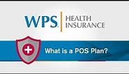 What is a POS plan? | WPS Explains