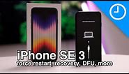 iPhone SE 3: how to force restart, recovery mode, DFU mode, etc.