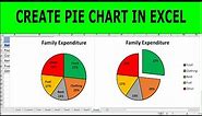 How to Make a Pie Chart in Excel With Percentages | Introduction to How to Make a Pie Chart