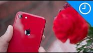 Hands-on: RED iPhone 8 [9to5Mac]