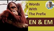 Words With the Prefix EN & EM (7 Illustrated Examples)