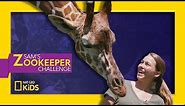 Leafy Lunchtime with Giraffes | Sam's Zookeeper Challenge