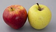 Apple Genetics: A Tasty Phenomena | Lesson Plan
