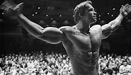 Arnold Schwarzenegger - The Conqueror