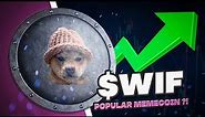 $WIF- Popular Memecoin Dogwifhat on Solana!