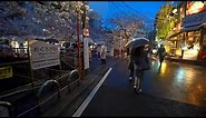 4K・ Rainy night Sakura cherry at Tokyo Meguro River・4K HDR