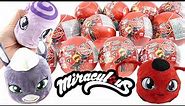 12 Miraculous Ladybug Miraball Ornament and Plush Collection Compilation