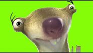 sid the sloth whassup my mammals green screen