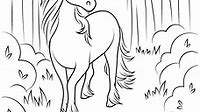 Unicorn - Coloring Pages