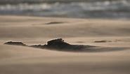 Windy desert weather blowing sand grain past rock formation by rolling waves