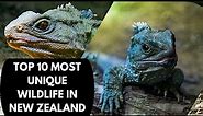 Top 10 Most Unique Wildlife in New Zealand |10 WEIRD Animals Only Found in NewZealand Animal Kingdom