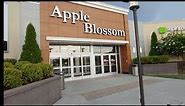 The history of the Apple Blossom Mall