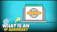Everything You Should Know About IP Address: Types, Uses, and Differences