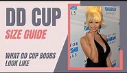 DD Cup Size Ultimate Guide: What DD Cup Breasts Look Like