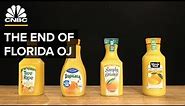 Why Most Orange Juice Comes From Brazil, Not Florida