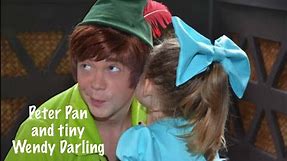 Peter Pan and tiny Wendy Darling (Ferdalump)