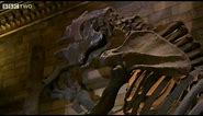 Giant Ground Sloth - Museum of Life - BBC Two