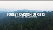 Forest Carbon Offsets: Creating Value for Healthy Forests