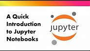 Quick introduction to Jupyter Notebook