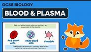 Blood & Plasma - GCSE Biology